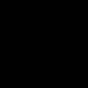 Meet your Posher, Ndongmo